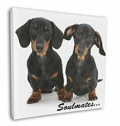 Dachshund Dogs 