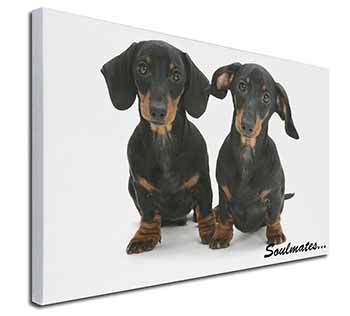 Dachshund Dogs 