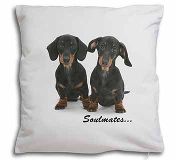 Dachshund Dogs 