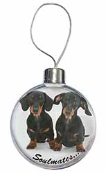 Dachshund Dogs 