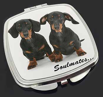 Dachshund Dogs 