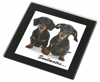 Dachshund Dogs 