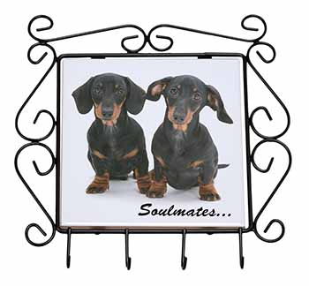 Dachshund Dogs 