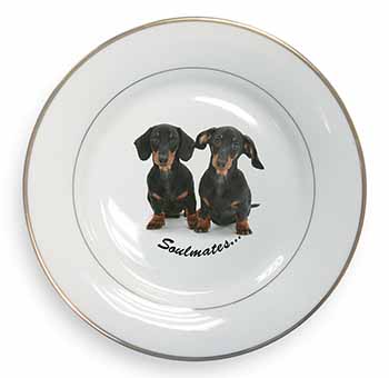 Dachshund Dogs 