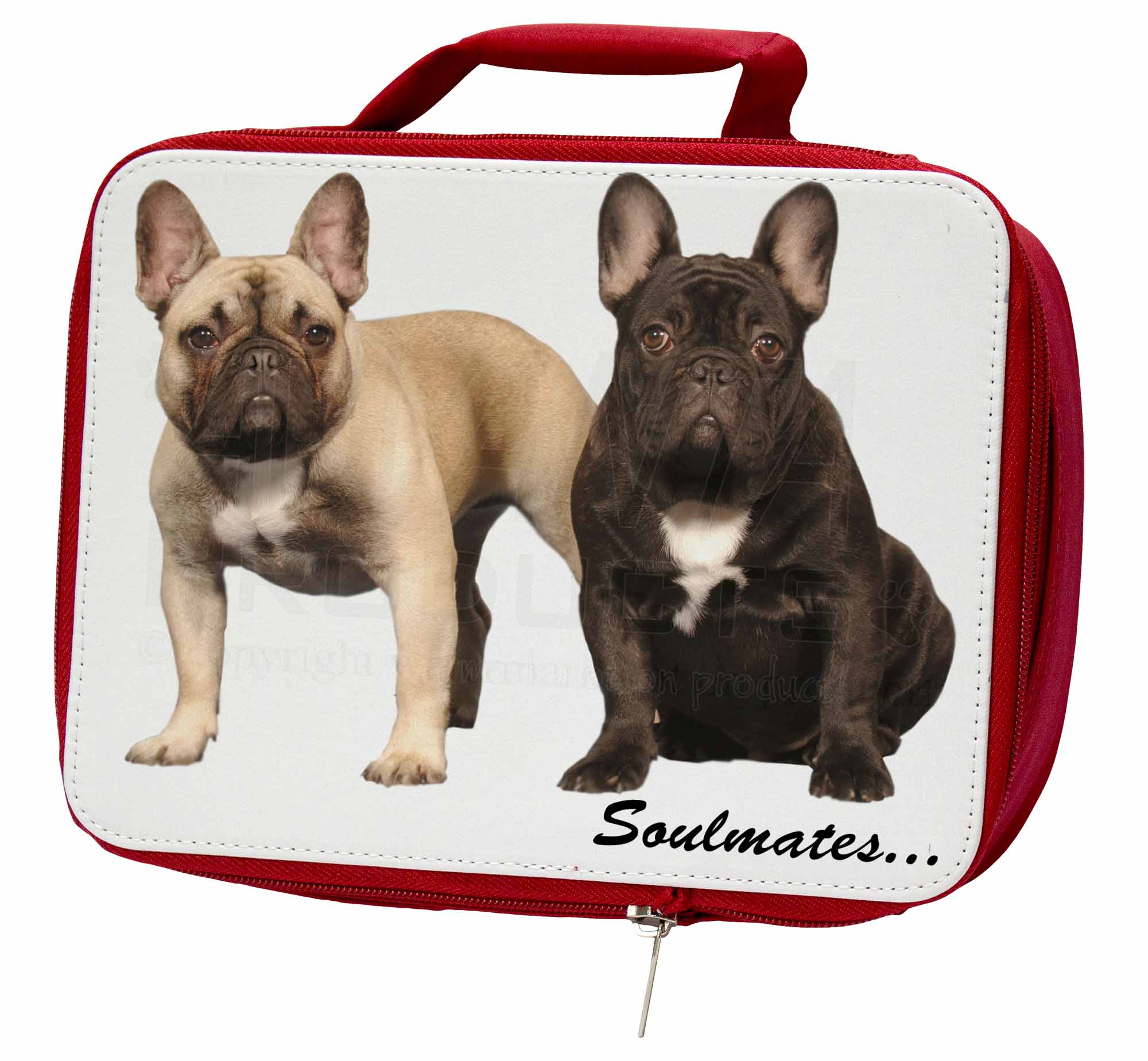 french bulldog lunch box