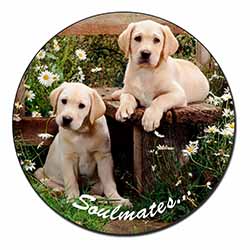 Yellow Labrador Puppy Dogs 