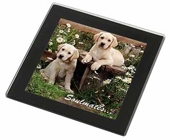 Yellow Labrador Puppy Dogs 