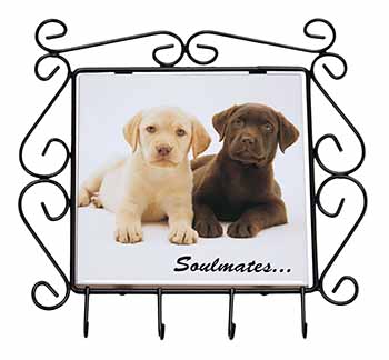 Yellow+Chocolate Labrador Puppies 