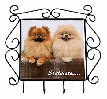 Pomeranian Dogs 