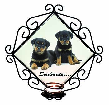 Rottweiler Puppy Dogs 