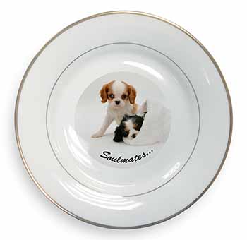 King Charles Spaniel Dogs 