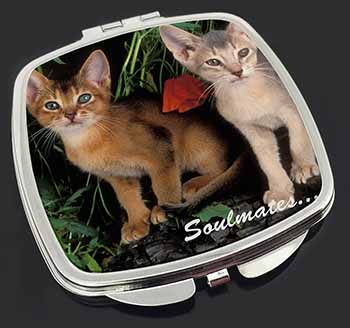 Abyssinian Kittens 