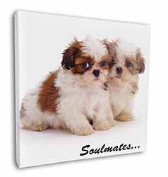 Shih-Tzu Dogs 