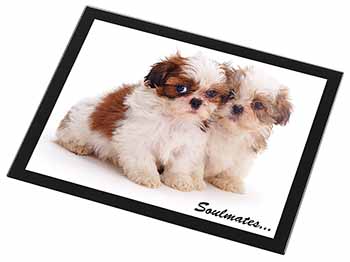 Shih-Tzu Dogs 