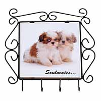 Shih-Tzu Dogs 