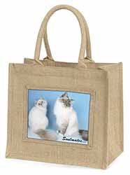 Birman Cats 