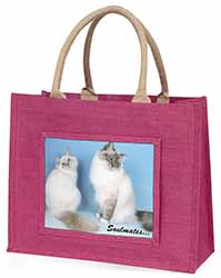 Birman Cats 