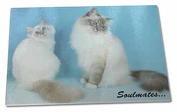 Large Glass Cutting Chopping Board Birman Cats 