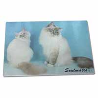 Large Glass Cutting Chopping Board Birman Cats 