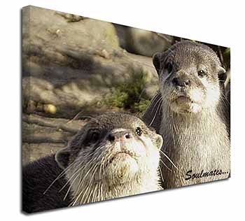 Cute Otters 