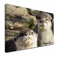 Cute Otters 