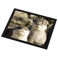 Cute Otters 