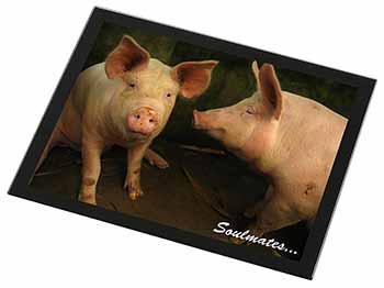 Pigs in Love Sty 