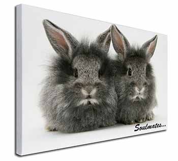 Silver Rabbits 