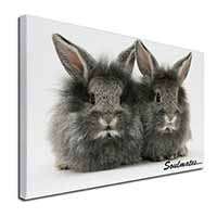 Silver Rabbits 