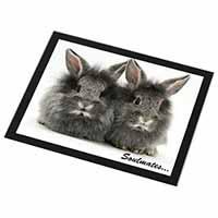 Silver Rabbits 