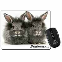 Silver Rabbits 