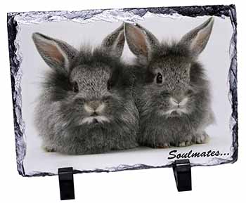 Silver Rabbits 