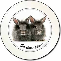 Silver Rabbits 