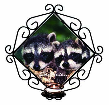 Racoons in Love 