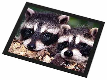 Racoons in Love 