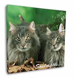 Norwegian Forest Cats 