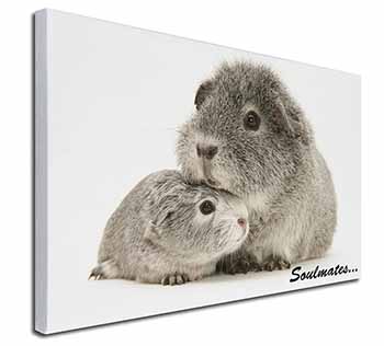 Silver Guinea Pigs 