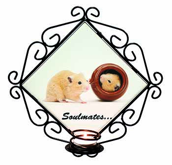 Hamsters in Pot Soulmates