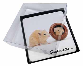 4x Hamsters in Pot Soulmates