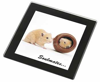 Hamsters in Pot Soulmates