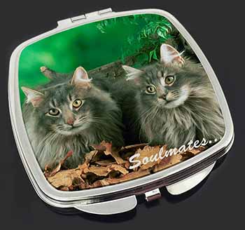 Norwegian Forest Cats 