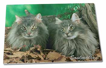 Large Glass Cutting Chopping Board Norwegian Forest Cats 