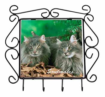 Norwegian Forest Cats 