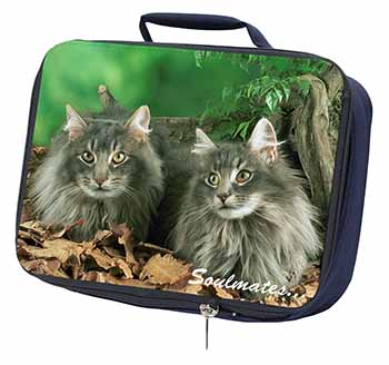 Norwegian Forest Cats 