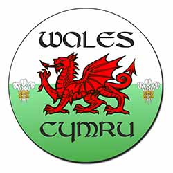 Wales Cymru Welsh Gift Fridge Magnet Printed Full Colour