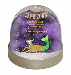 Capricorn Star Sign Birthday Gift Snow Globe Photo Waterball